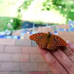 Wild Art Wooden House בית נופש Ig