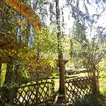 Wild Art Wooden House *