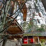 Wild Art Wooden House בית נופש Ig