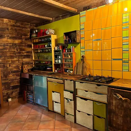 Wild Art Wooden House