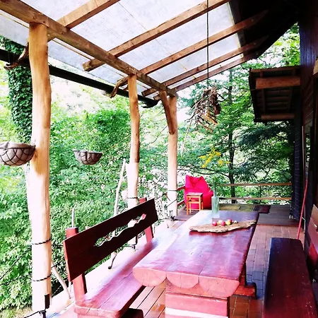 Wild Art Wooden House