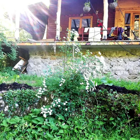 Wild Art Wooden House بيت للعطل