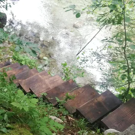 Wild Art Wooden House Prázdninový dům Ig