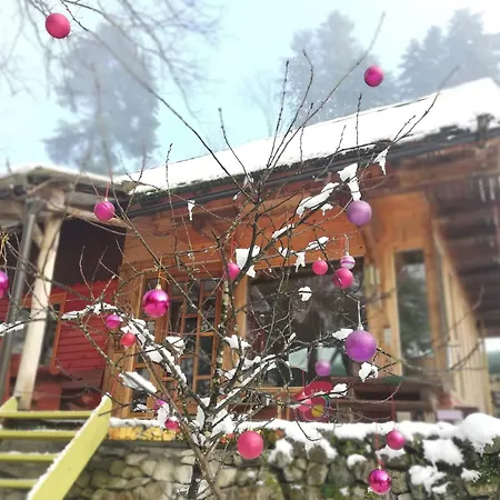 Wild Art Wooden House *