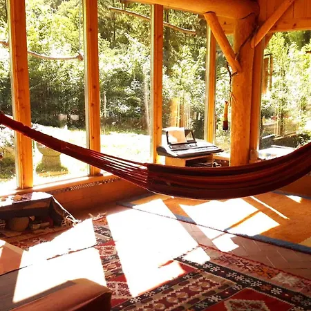 펜션 Wild Art Wooden House *