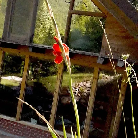 Wild Art Wooden House بيت للعطل *