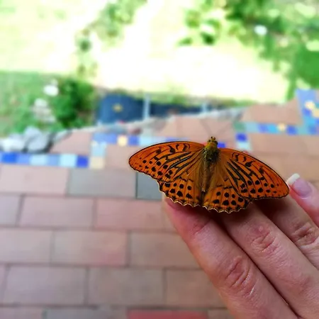 Wild Art Wooden House بيت للعطل Ig