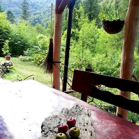 Vakantiehuis Wild Art Wooden House Ig