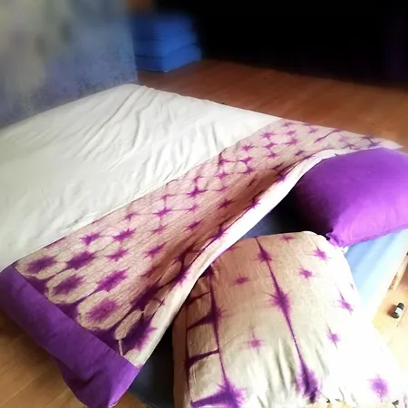 Wild Art Wooden House *