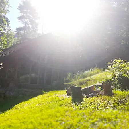 Wild Art Wooden House *