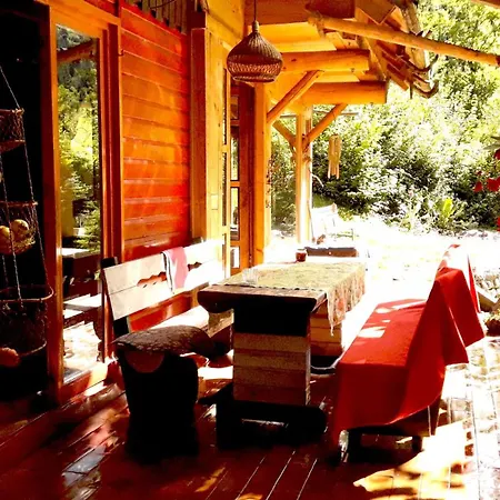 Wild Art Wooden House *