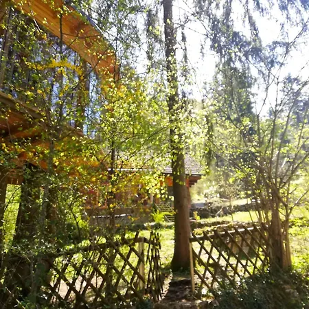 Wild Art Wooden House *