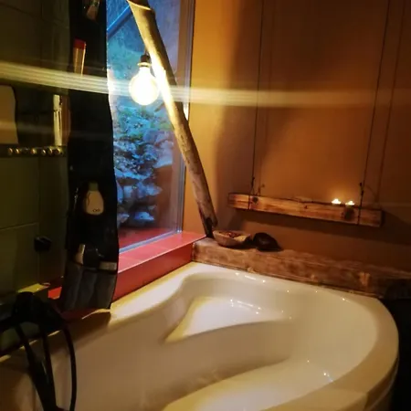 Wild Art Wooden House