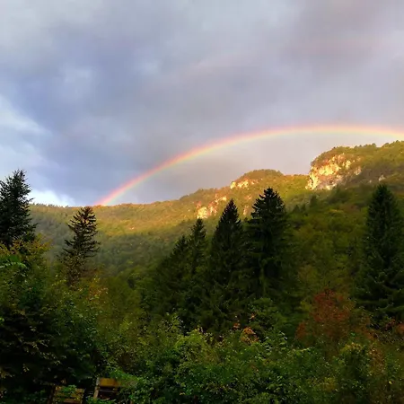 بيت للعطل Wild Art Wooden House Ig