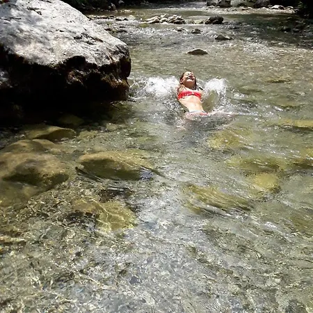 Wild Art Wooden House بيت للعطل *