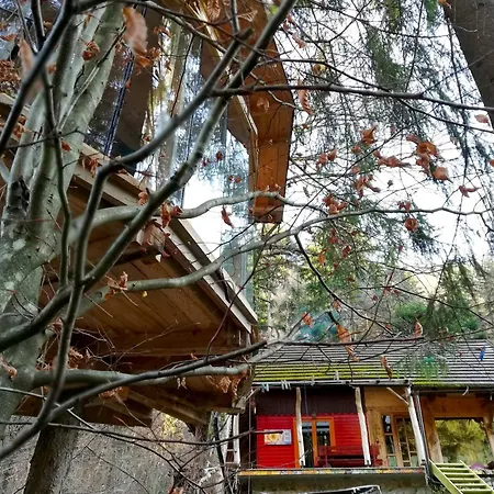 Wild Art Wooden House بيت للعطل Ig