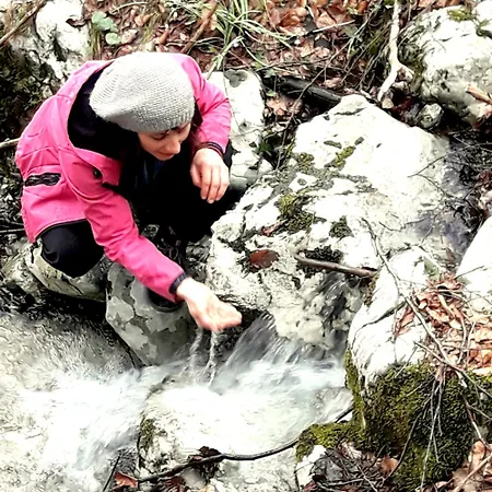 بيت للعطل Wild Art Wooden House *