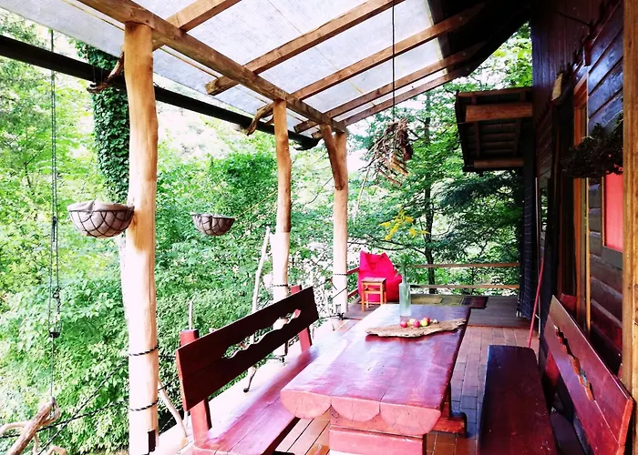 Wild Art Wooden House