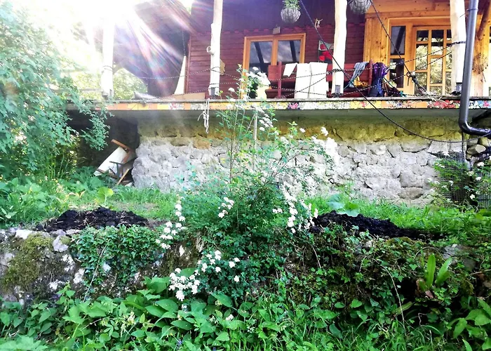 Wild Art Wooden House בית נופש