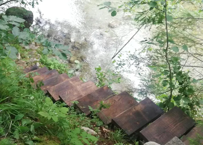 Wild Art Wooden House בית נופש Ig