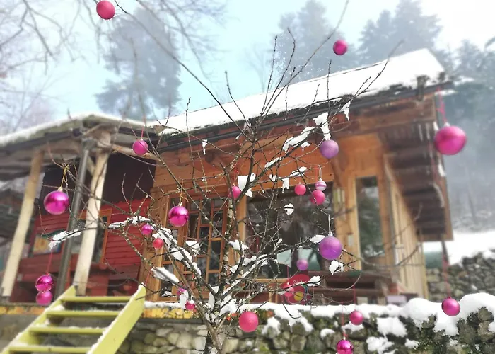 Wild Art Wooden House *