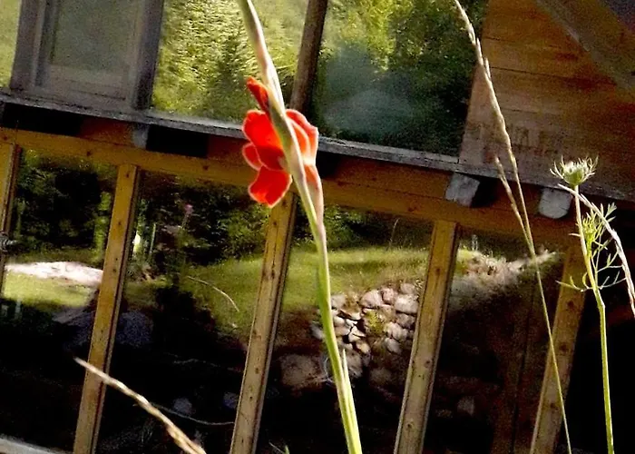 Wild Art Wooden House Сasa de vacaciones *