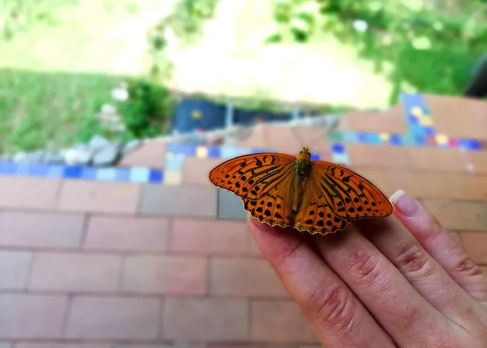 Wild Art Wooden House בית נופש Ig