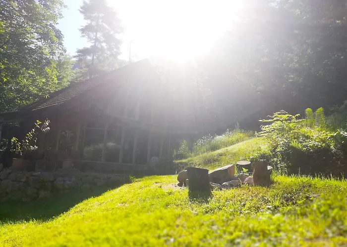 Wild Art Wooden House *