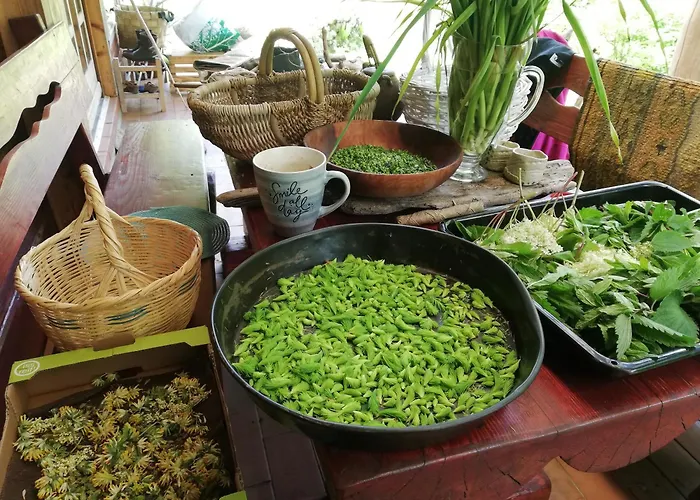 בית נופש Wild Art Wooden House Ig