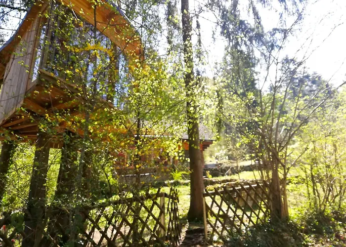 Wild Art Wooden House *