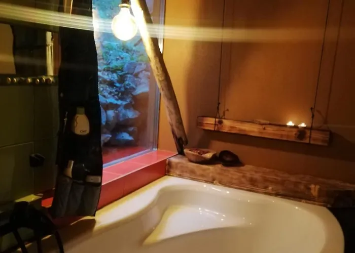 Wild Art Wooden House