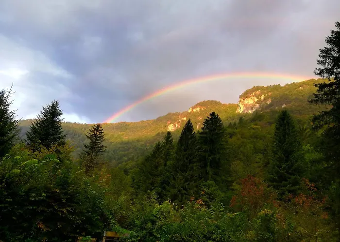 Сasa de vacaciones Wild Art Wooden House Ig