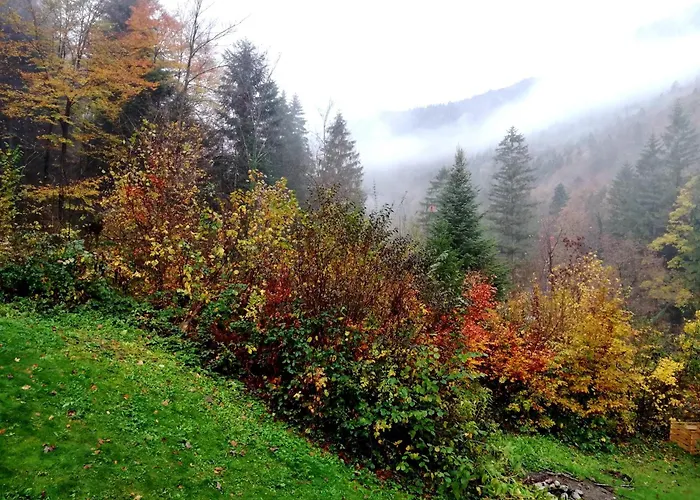 Wild Art Wooden House