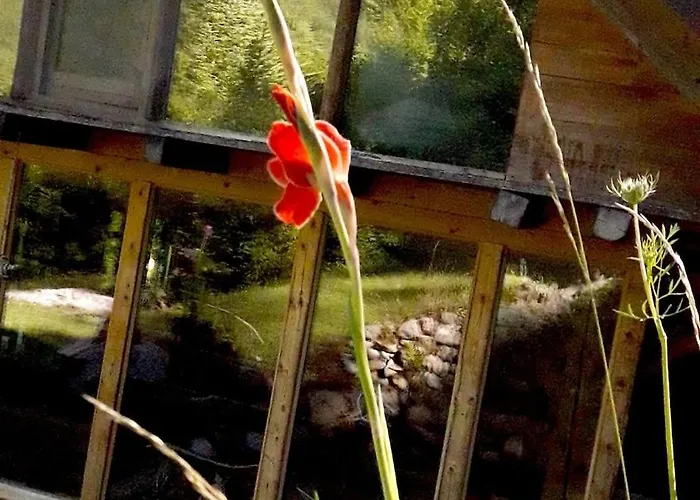 Wild Art Wooden House