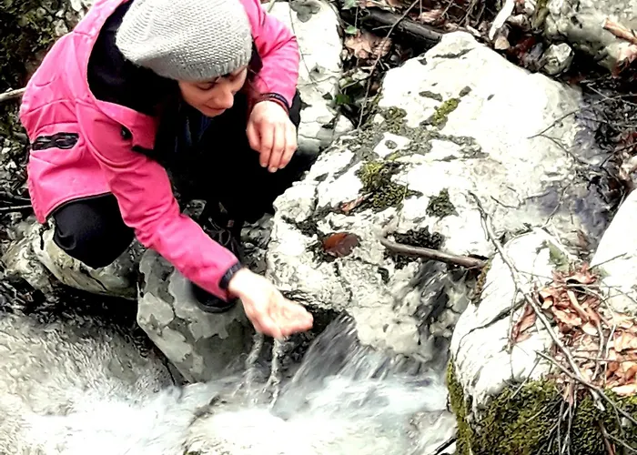 בית נופש Wild Art Wooden House *