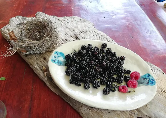 Wild Art Wooden House *