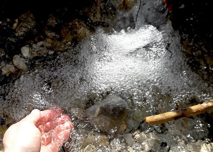 Wild Art Wooden House *